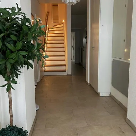 Herrenpfad 9 03 - Seemoewe *